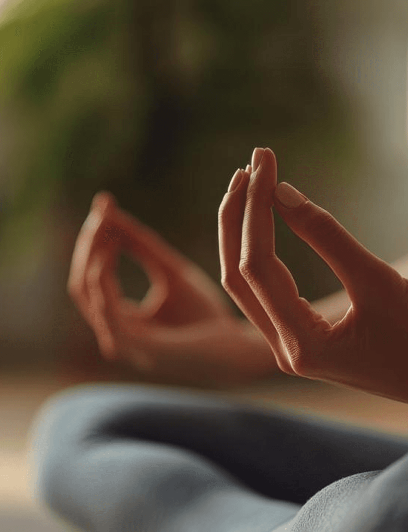 Wellness & Stillness experience